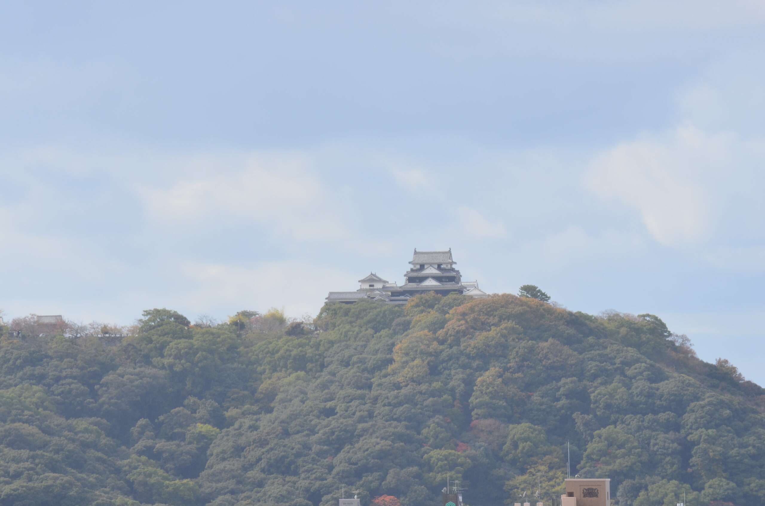 湯築城本丸から見る松山城天守