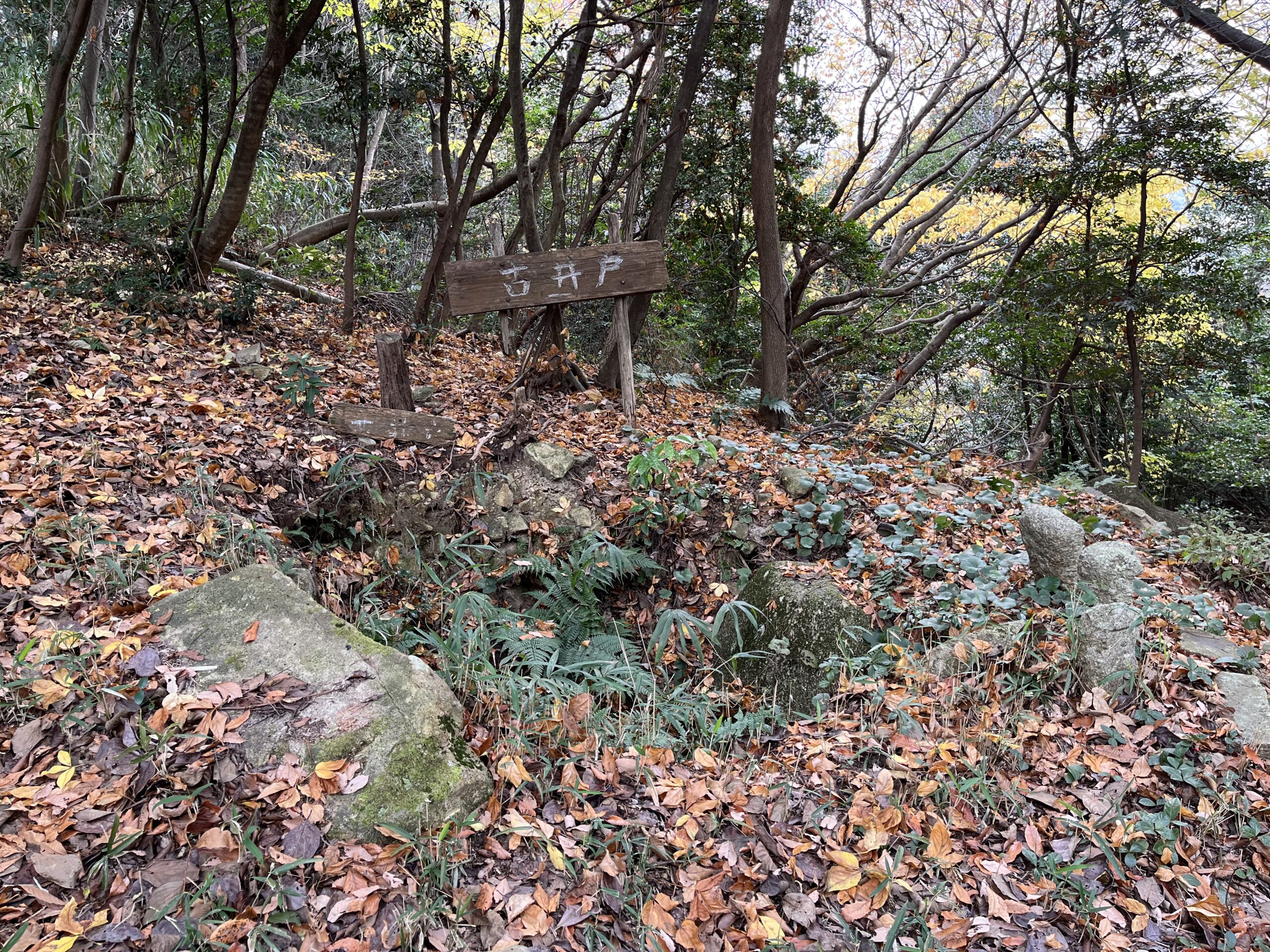 長光寺城の井戸