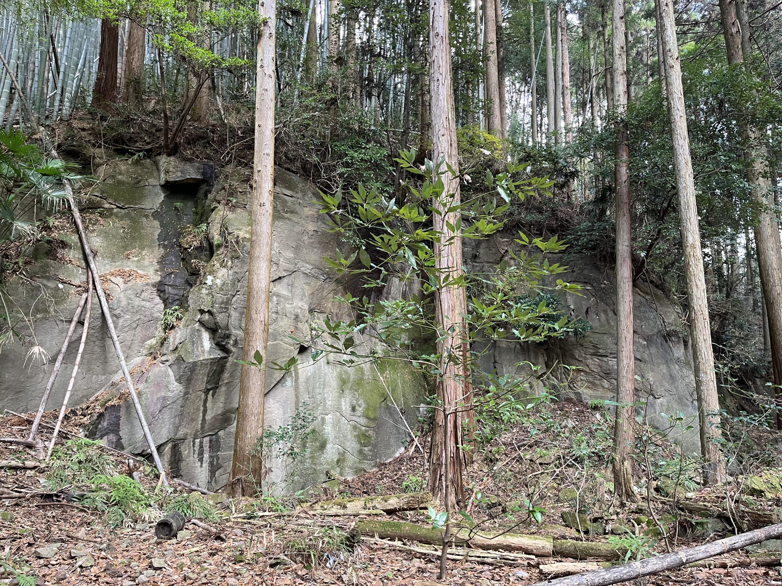 細野城本丸の切岸