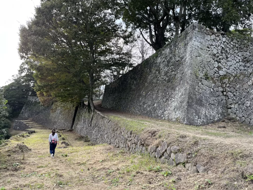 西の丸の南下