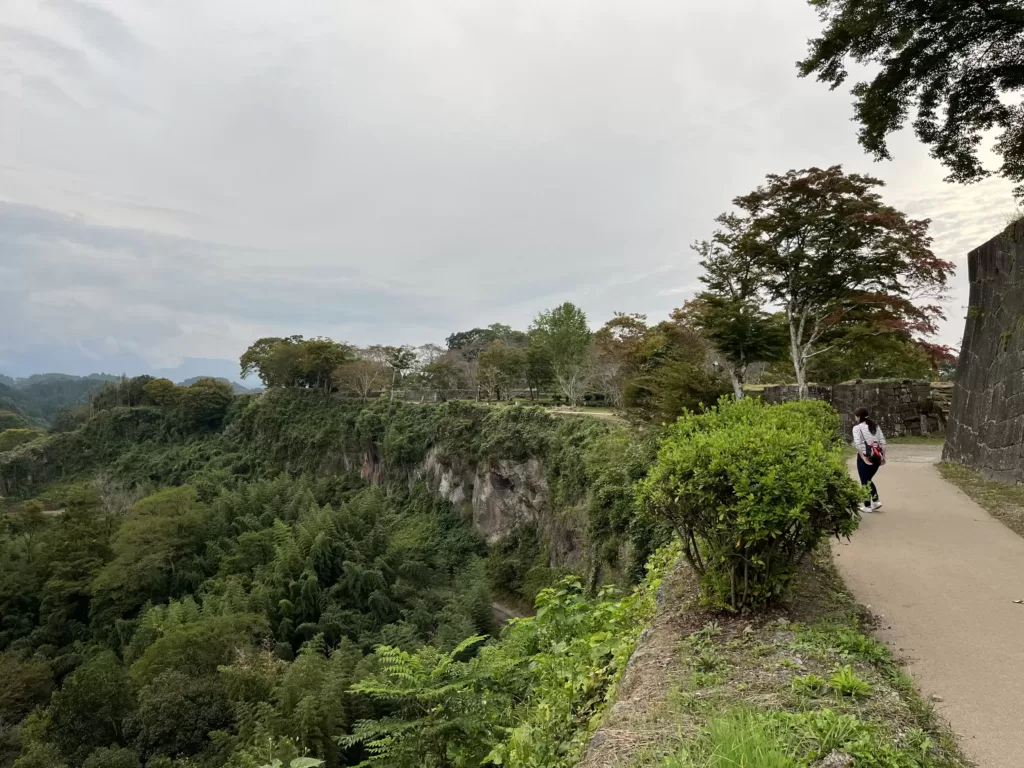 主郭部帯曲輪から見る岡城