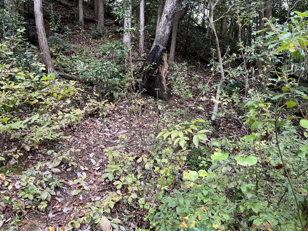 井戸曲輪の手前の登り道