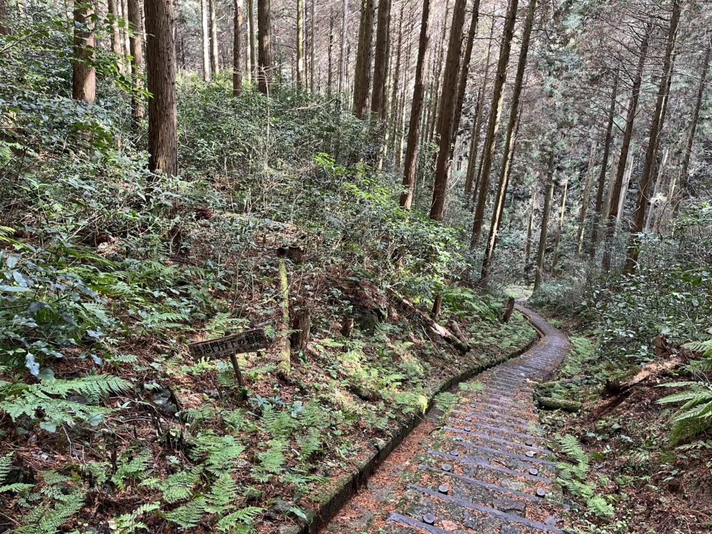 慈悲門寺の段曲輪